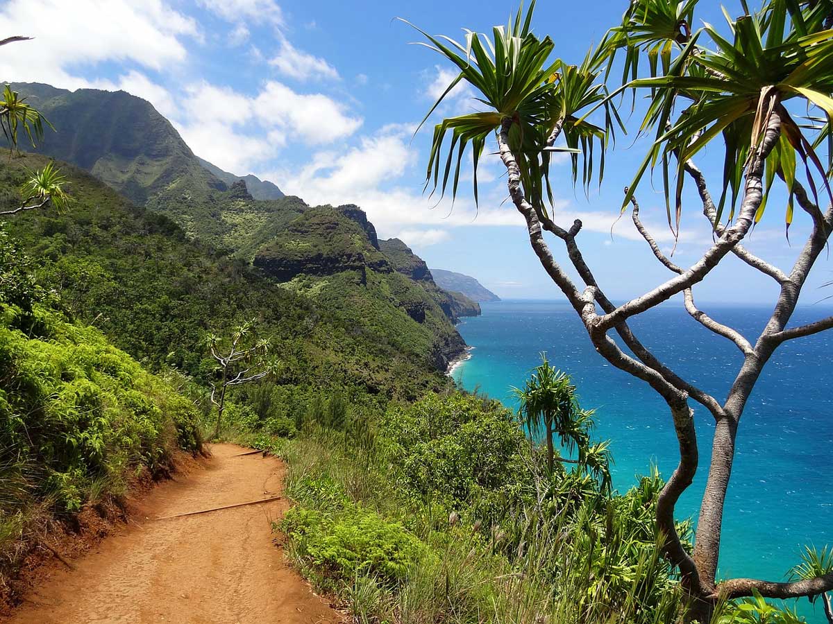 Costa de Napali Kauai Hawai