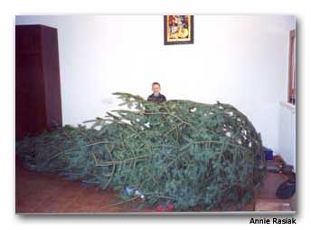 christmas tree romanian fiasco