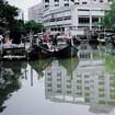 Schmoozing With Mud Skippers on the Melaka River