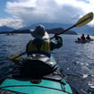 Kayaking Vancouver Island with Teens