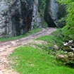 Piatra Craiului National Park