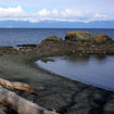 Simple Gifts: Vancouver Island Nature