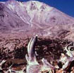 Lassen Volcanic National Park: Bumpass Hell Nature Trail