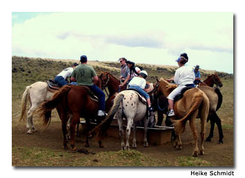 A water trough provides a welcome break for horses during the horseback-riding tour.