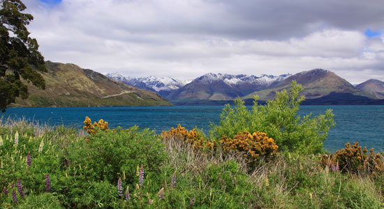 New Zealand draws filmmakers from around the world.