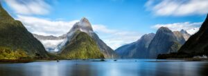 New Zealand nature.