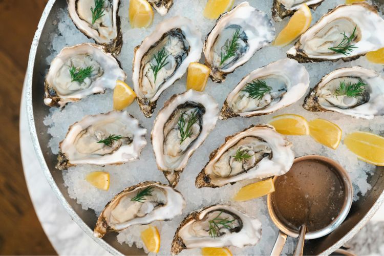 fresh oysters