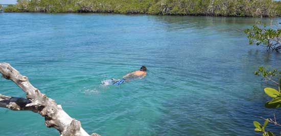 Snorkeling in the Galapagos