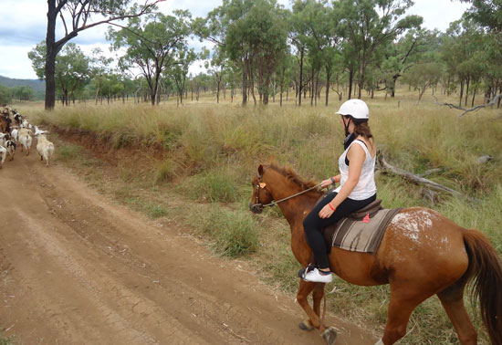 Apache and I head down the trail in the Australian Outback. 