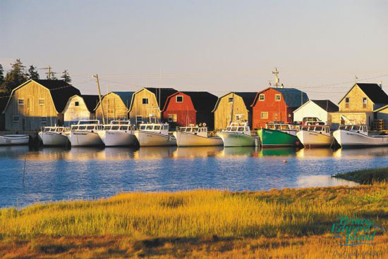 Boats on Prince Edward Island