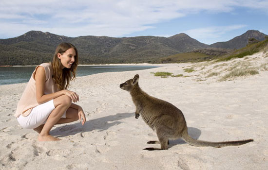 Getting to know some of the locals in Tasmania. Photo by Australia Tourism.