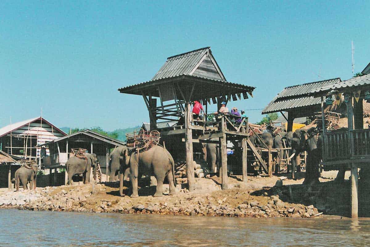 Elephants at a Karen Village in Thailand