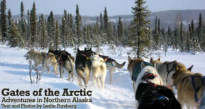 Gates of the Arctic: Adventures in Northern Alaska