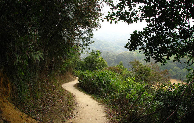 Hiking in Hong Kong. Flickr/Andreas