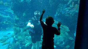 Diving at Epcot's Living Seas Pavilion at Walt Disney World. Flickr/Major Nelson