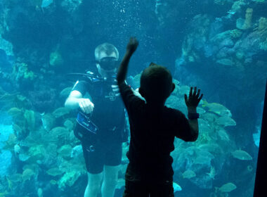 Diving at Epcot's Living Seas Pavilion at Walt Disney World. Flickr/Major Nelson