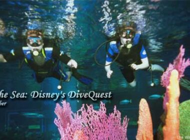 Dive Quest at Walt Disney World