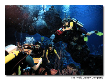 Disney’s DiveQuest program takes certified divers on expert-led tours of its 6 million gallon (22 million liter) onsite aquarium.