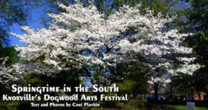 Springtime in the South: Knoxville’s Dogwood Arts Festival