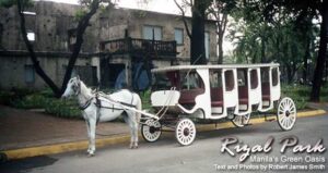 Manila’s Rizal Park: A Peaceful Oasis in Downtown Manila