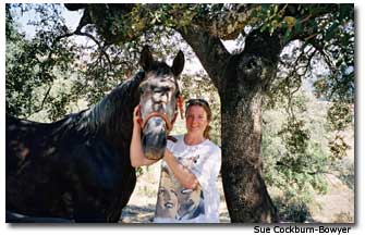 Sue Cockburn Bowyer and the Andalusion horse Biko.