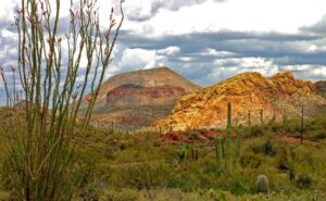 The Perfect Timing: Spring Travel in Tempe