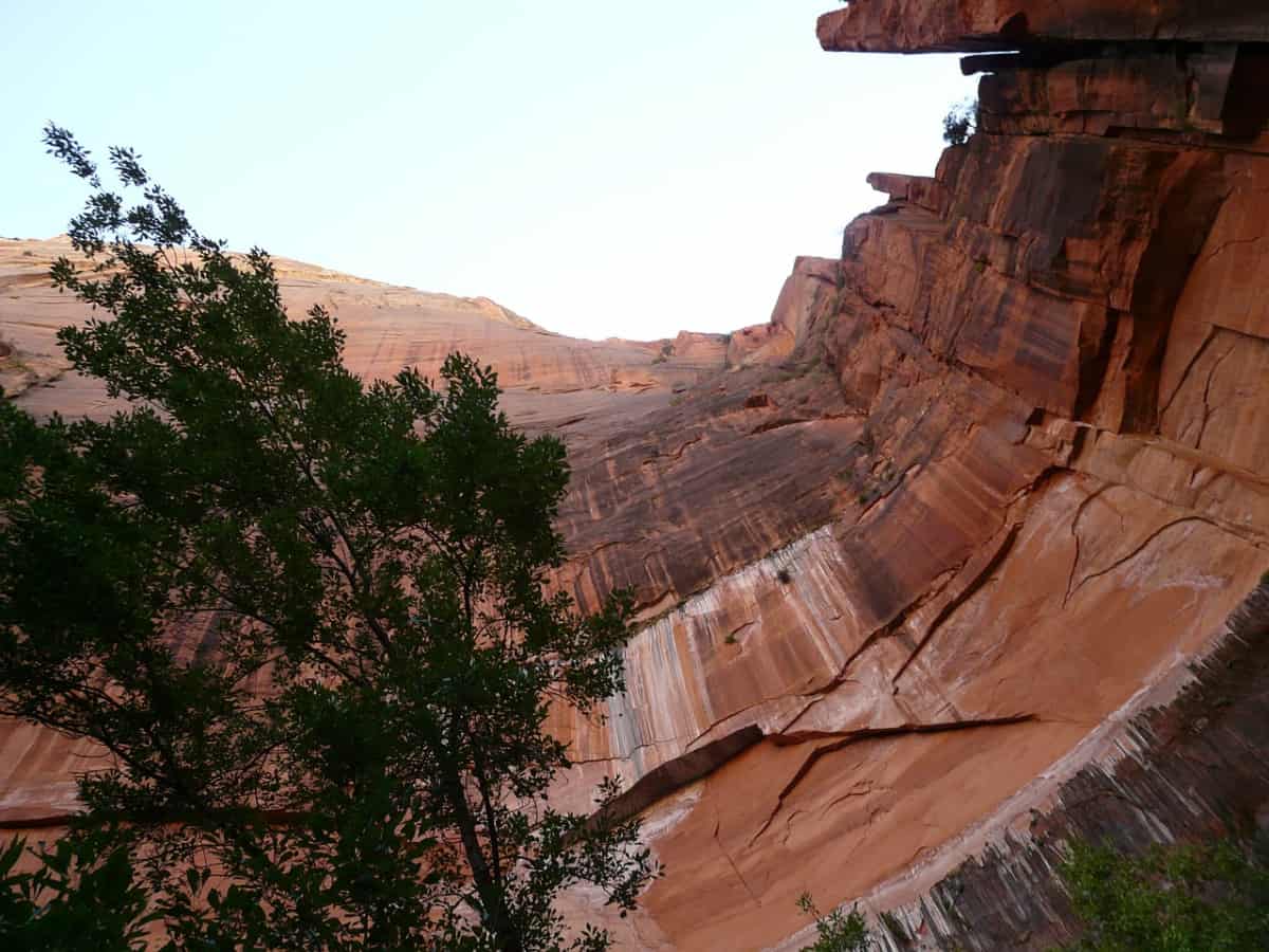 Canyoneering in Zion National Park is an adrenalin rush for those who dare.