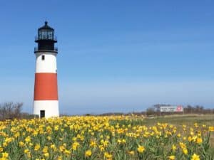 Summertime at the Seashore: Nantucket Island