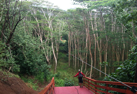 Koloa Zipline Tours has eight different ziplines on the beautiful Grove Farm in Kauai.