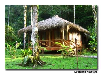 A thatched-roof cabin offers luxury in the jungle.