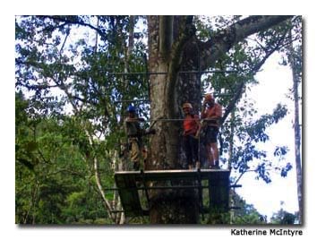  Soaring over the forest on a zip line is among the lodge activities. 