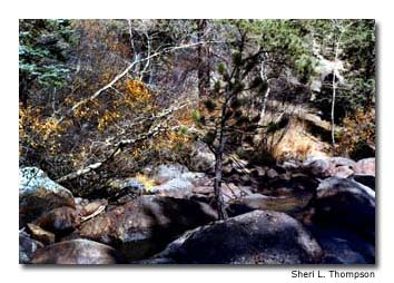 Getting out of the car and onto the trails gives travelers the opportunity to enjoy nature up close.