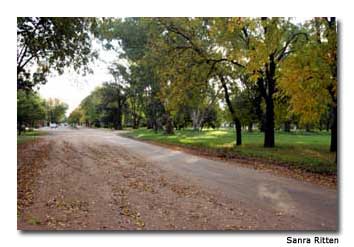 Traveling the tree-lined streets by bike is a wonderful way to explore the town.