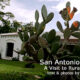 San Antonio de Areco