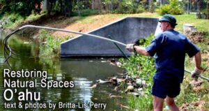 Restoring Natural Spaces: O’ahu