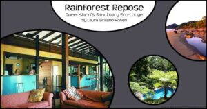 Rainforest Repose: Queensland’s Sanctuary Eco-Lodge