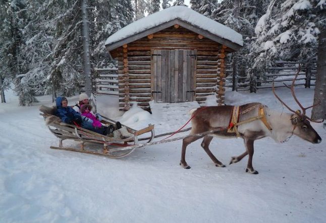 Reindeer-drawn sleigh in Lapland. Flickr/Timo Newton-Syms