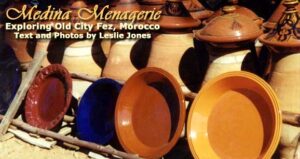 Medina Menagerie: Old City of Fez, Morocco