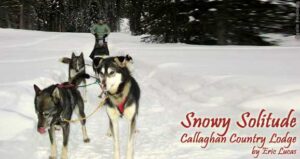 Snowy Solitude: Callaghan Country Lodge