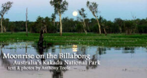 Moonrise on the Billabong: Australia’s Kakadu National Park