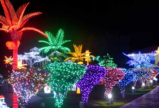 The grounds of the Crighton home is lit with millions of lights. Photo by Claudia Carbone 