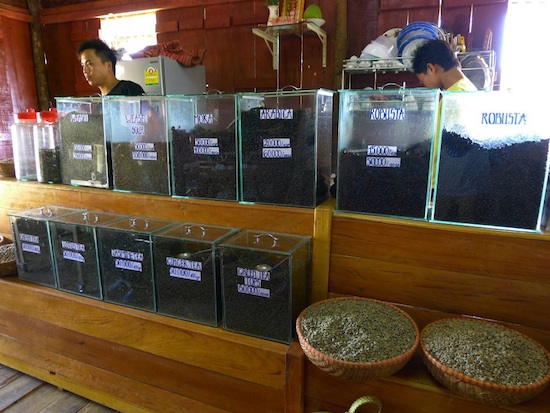 Coffee and tea: An assortment of coffee and tea to choose from, for a freshly brewed beverage on the coffee plantation. Photo by Ling Xin Sia