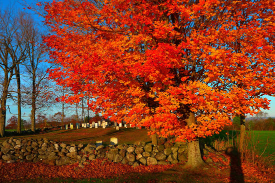 Fall foliage in Turner, Maine. Photo courtesy Visit Maine. 