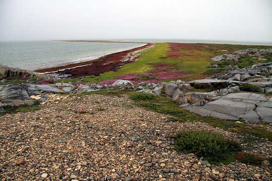 Churchill, Manitoba is located just south of the Arctic Circle. In the summer, brightly colored lichen covers the tundra. Photo by Travel Manitoba