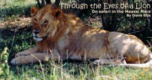 On Safari in Maasai Mara: Through The Eyes of a Lion