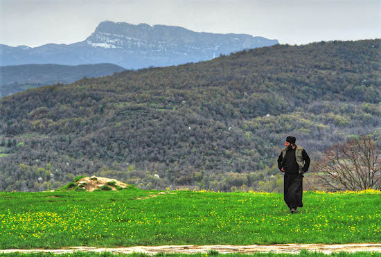 A Lone Monk in Georgia 