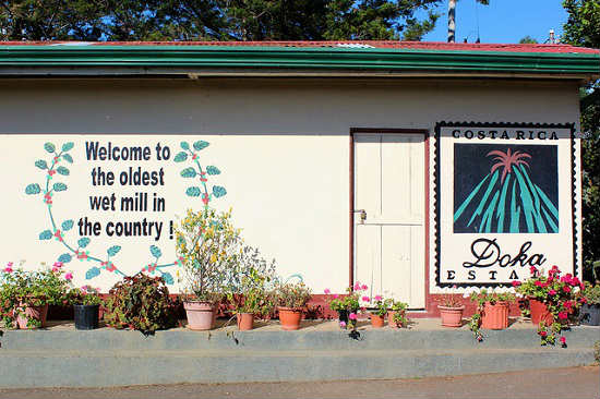 The oldest wet mill in the country is at Doka Coffee Estate. 