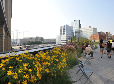 The View from the High Line