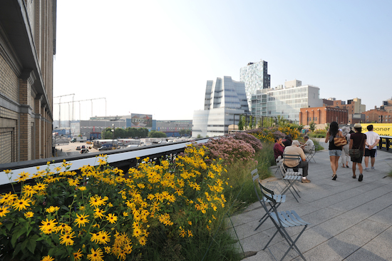 The View from the High Line