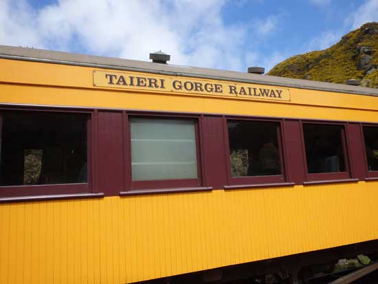 Most train cars on the Taieri Gorge Railway are bright yellow “heritage carriages.” Photo by Catherine Fancher